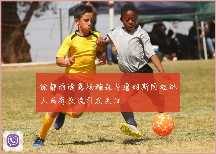 徐静雨透露杨瀚森与詹姆斯同经纪人或有交流引发关注