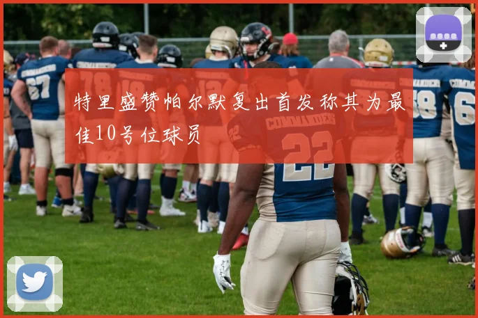 特里盛赞帕尔默复出首发称其为最佳10号位球员